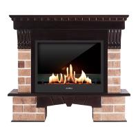 Биокамин в портале SteelHeat RS, стекло, стемалит